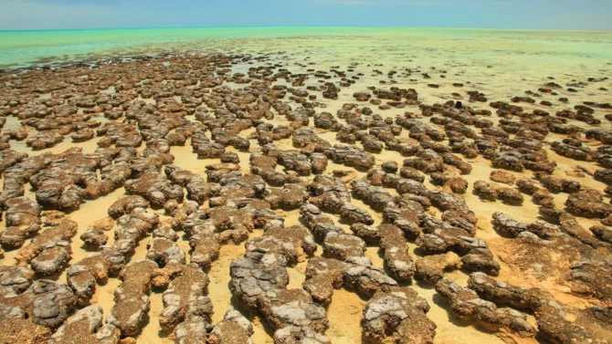 古代小行星撞击坑或为地球产氧生命“点燃导火索